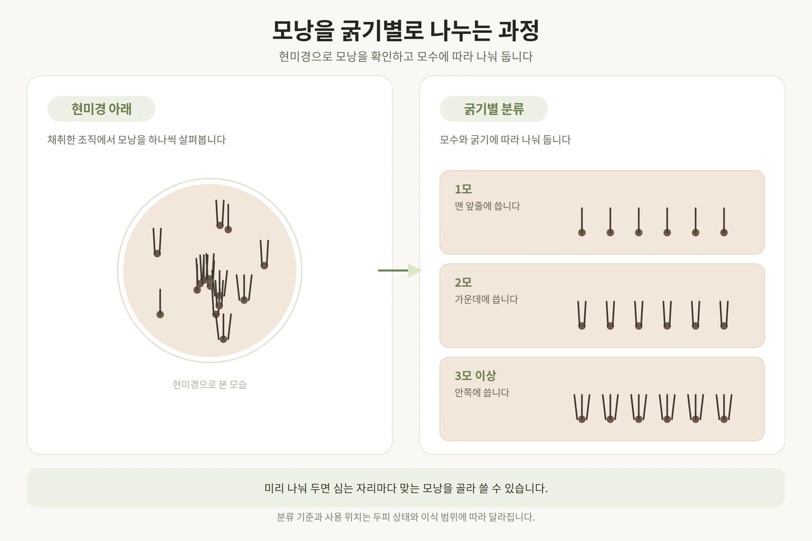 현미경으로 확인한 모낭을 모수와 굵기에 따라 나누는 과정을 나타낸 도해