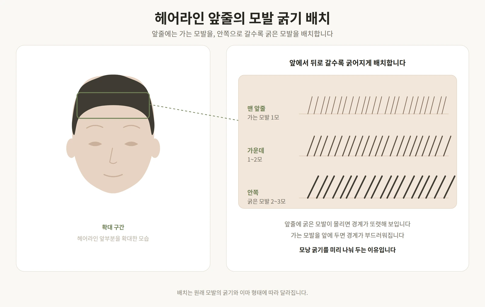 헤어라인 앞줄에 가는 모발을 두고 안쪽으로 갈수록 굵은 모발을 배치하는 원리를 나타낸 확대 도해